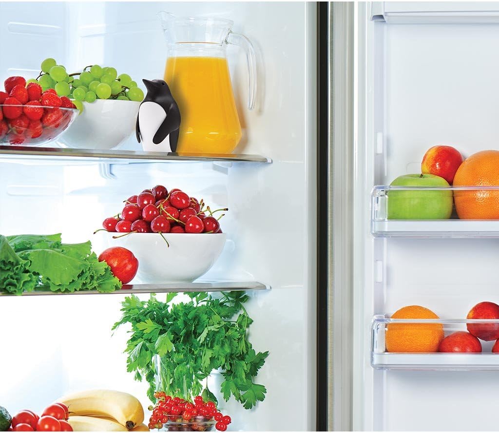 مزيل الروائح للثلاجة مع حامل ل - مراجعة Kitchen Gadgets Holder وسعره