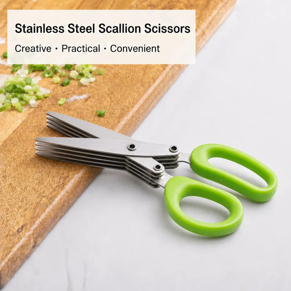 مقص أعشاب من الفولاذ المقاوم ل - مراجعة Herb Scissors 5 Blade وسعره