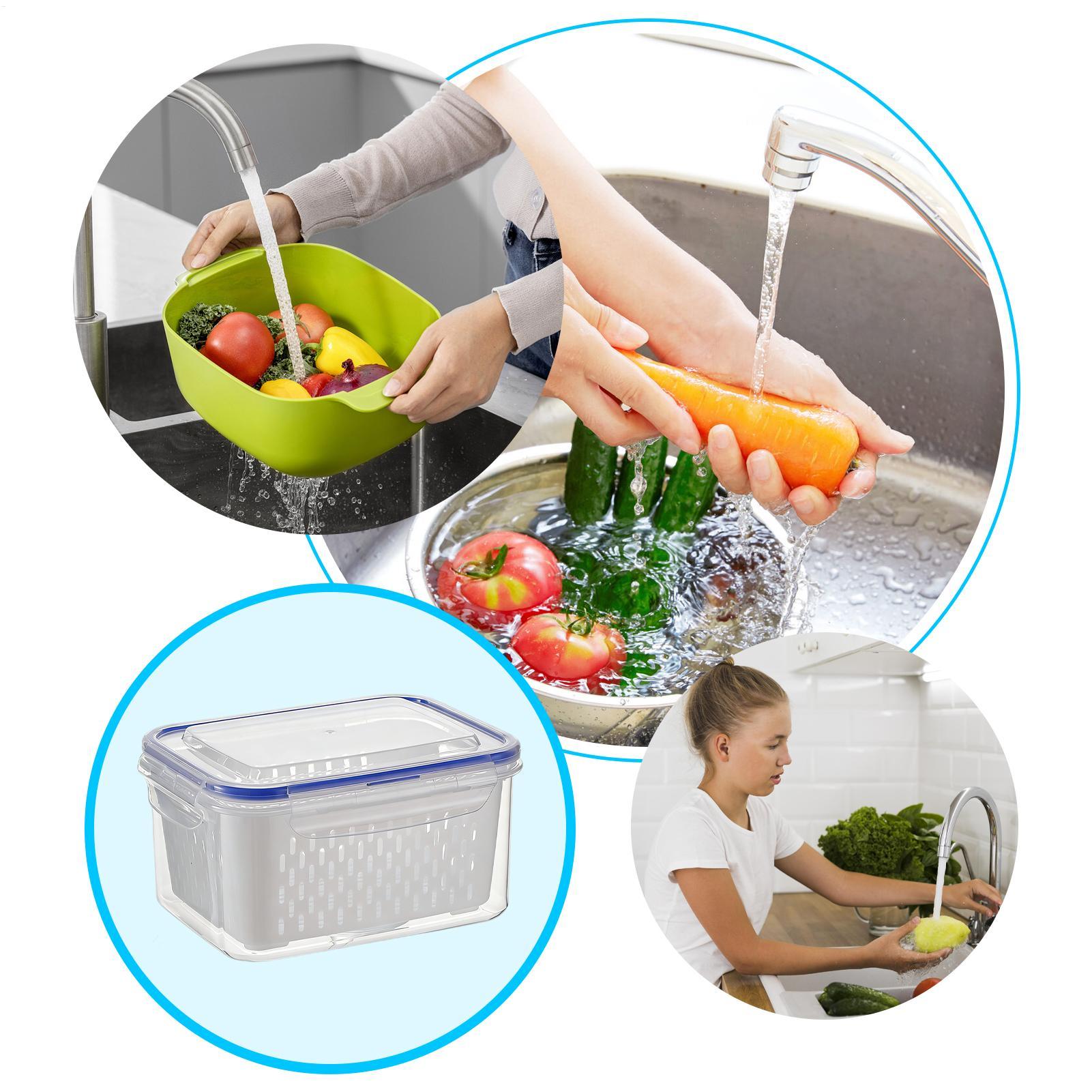 حاوية تخزين طعام 4 في 1، منظما - مراجعة Food Storage Containers وسعره