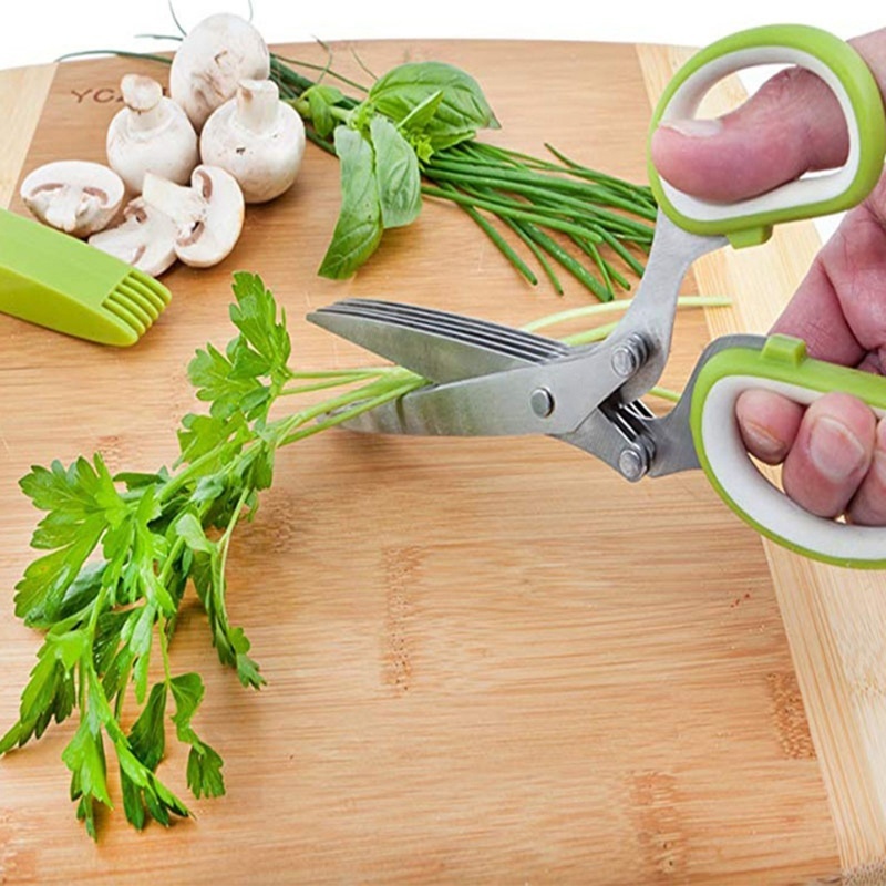 مقص عشبي مع 5 شفرات أدوات المط - مراجعة Herb Scissors 5 Blade وسعره