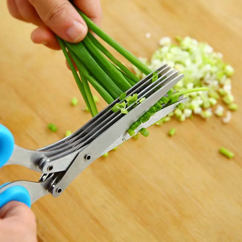5 طبقات شفرة البصل الأخضر مقص  - مراجعة Herb Scissors 5 Blade وسعره