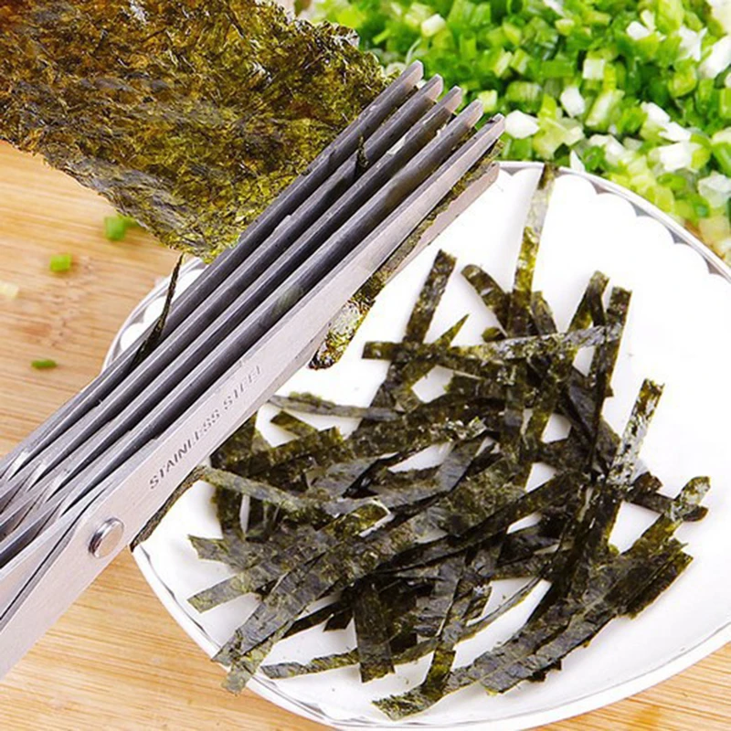 5 طبقات شفرة البصل الأخضر مقص  - مراجعة Herb Scissors 5 Blade وسعره