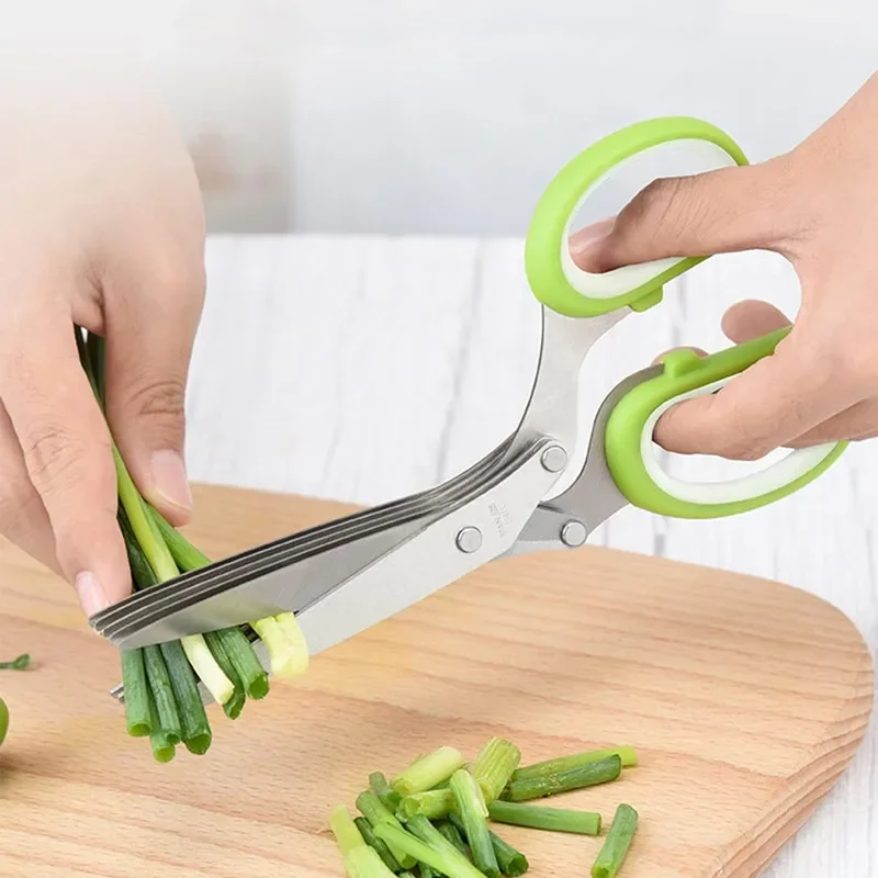 مقص أعشاب من الفولاذ المقاوم ل - مراجعة Herb Scissors 5 Blade وسعره