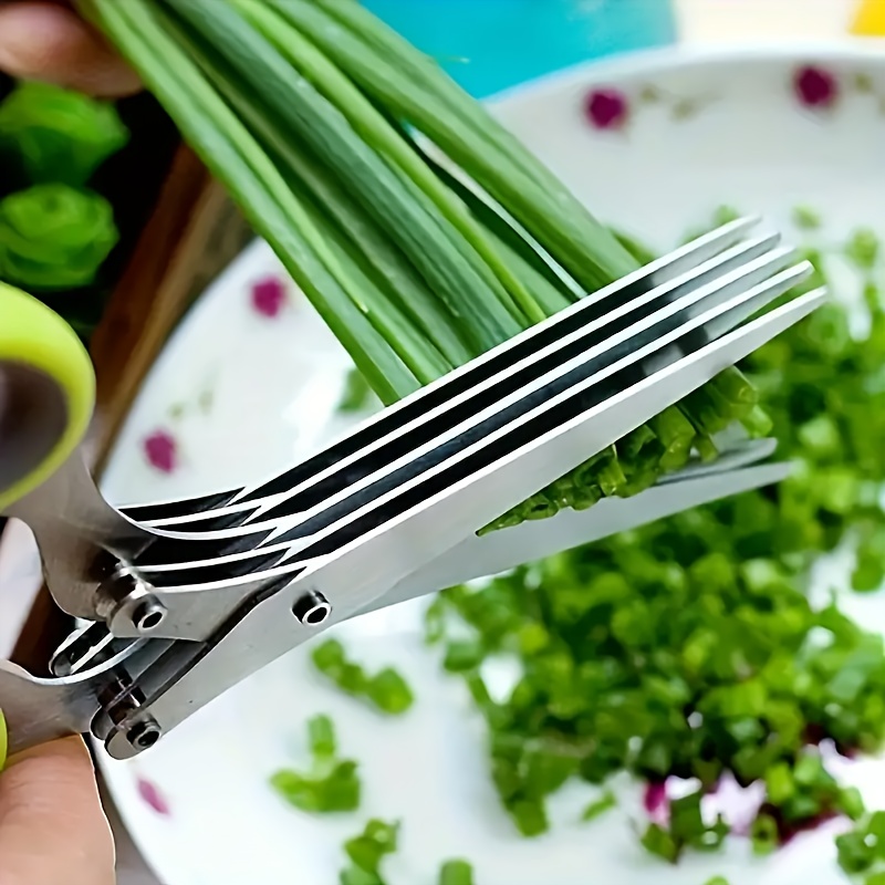 مقص أعشاب متعدد الشفرات من الف - مراجعة Herb Scissors 5 Blade وسعره