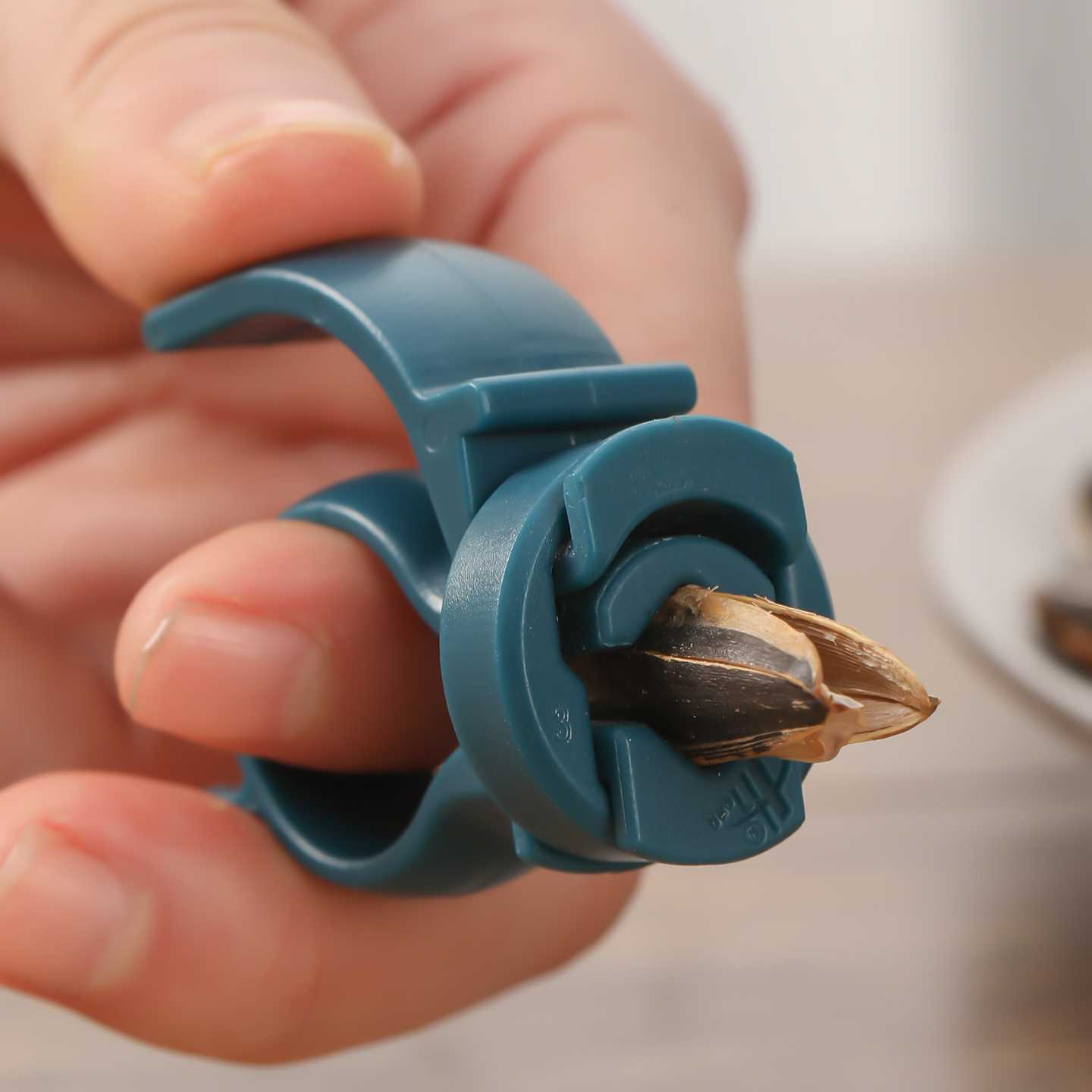 4 قطع من أدوات تقشير المكسرات  - مراجعة Kitchen Gadgets For Small Kitchens وسعره